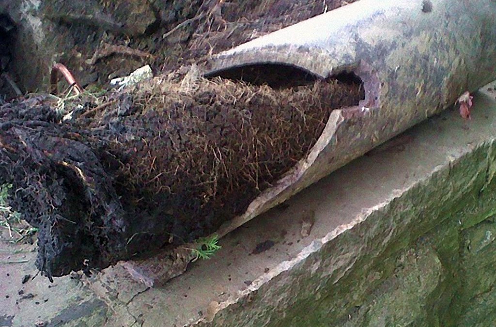 Ways for NYC Homeowners to Avoid a Drain Cleaning Scam