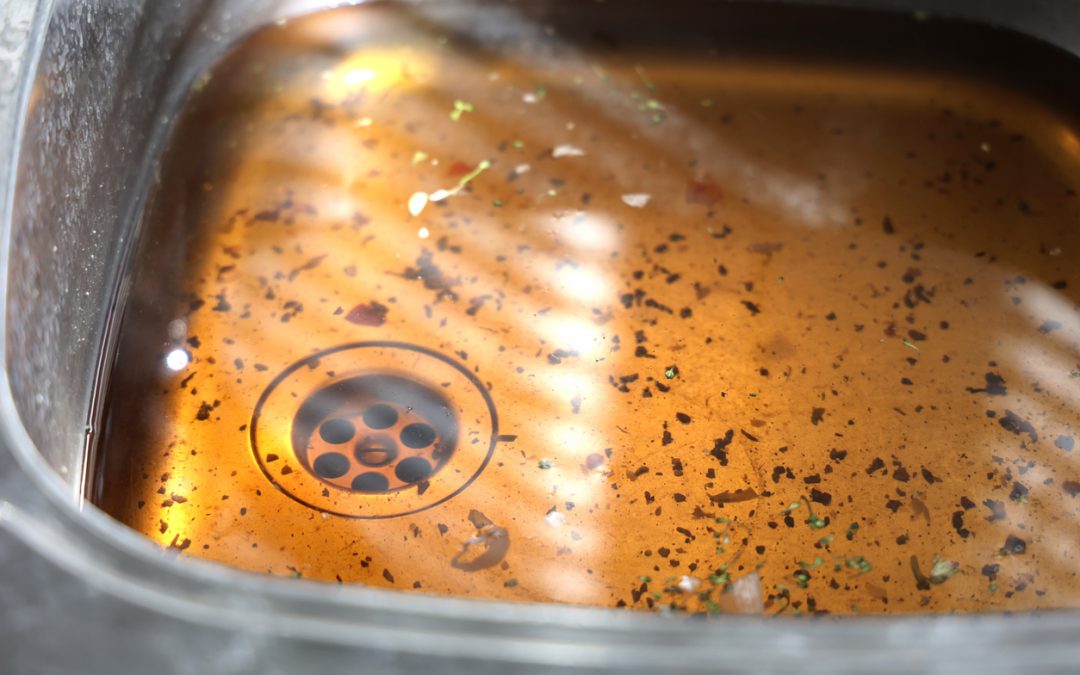 Your 5 Great Tips In Preventing Drain Clogs Before A Backup