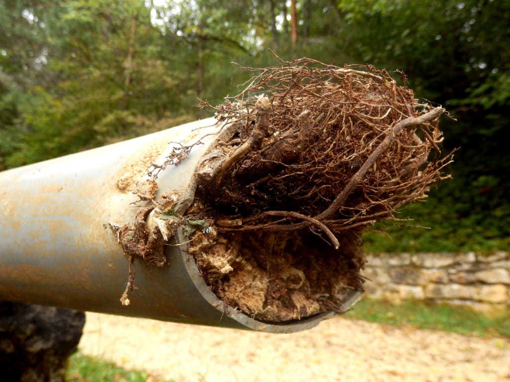 blocked drains