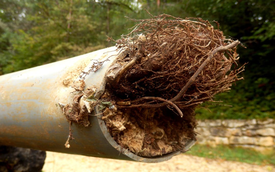 Blocked Drains Cured By A Five Star Drain Unblocker