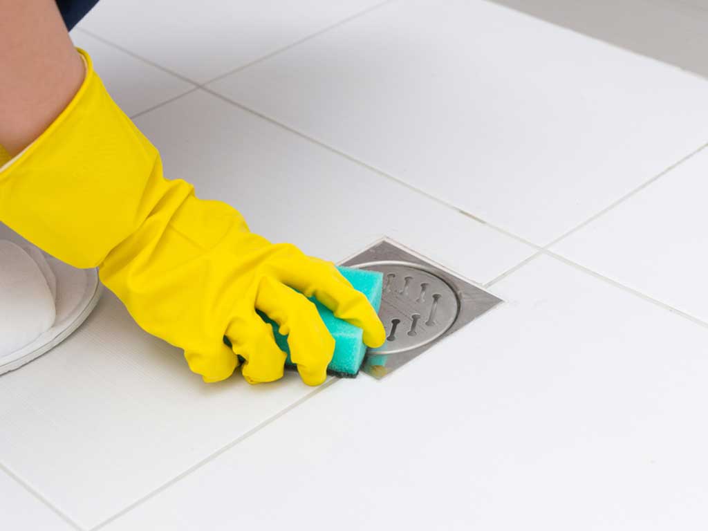 Clean Your Shower Drain Tips