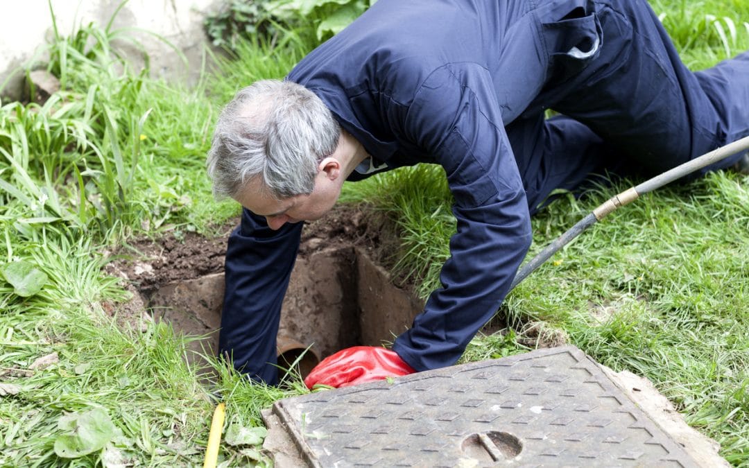 Providing the Best Root Killing Solutions for Roots in Sewer Lines