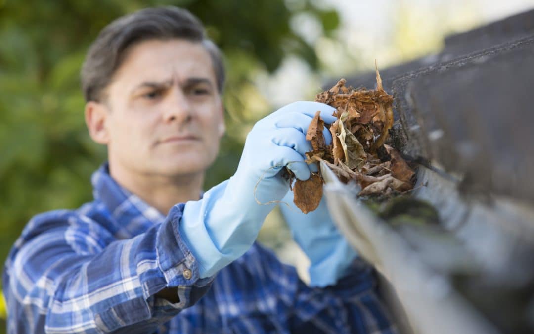 Fall Plumbing Tips: 4 Maintenance Ideas Courtesy of Team Balkan