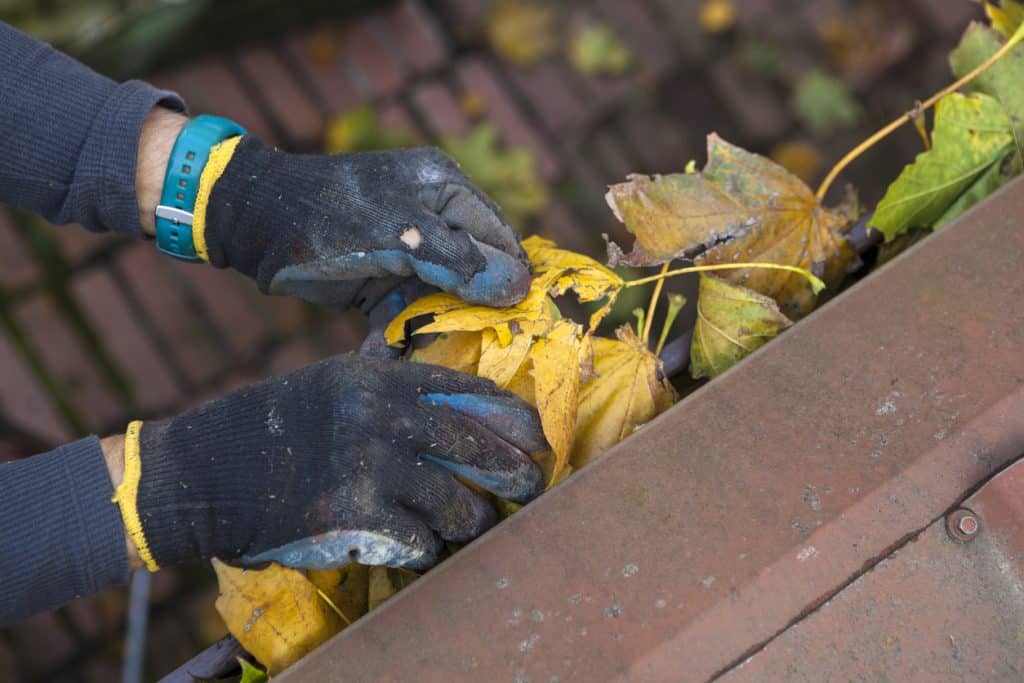 Fall roof gutter clog