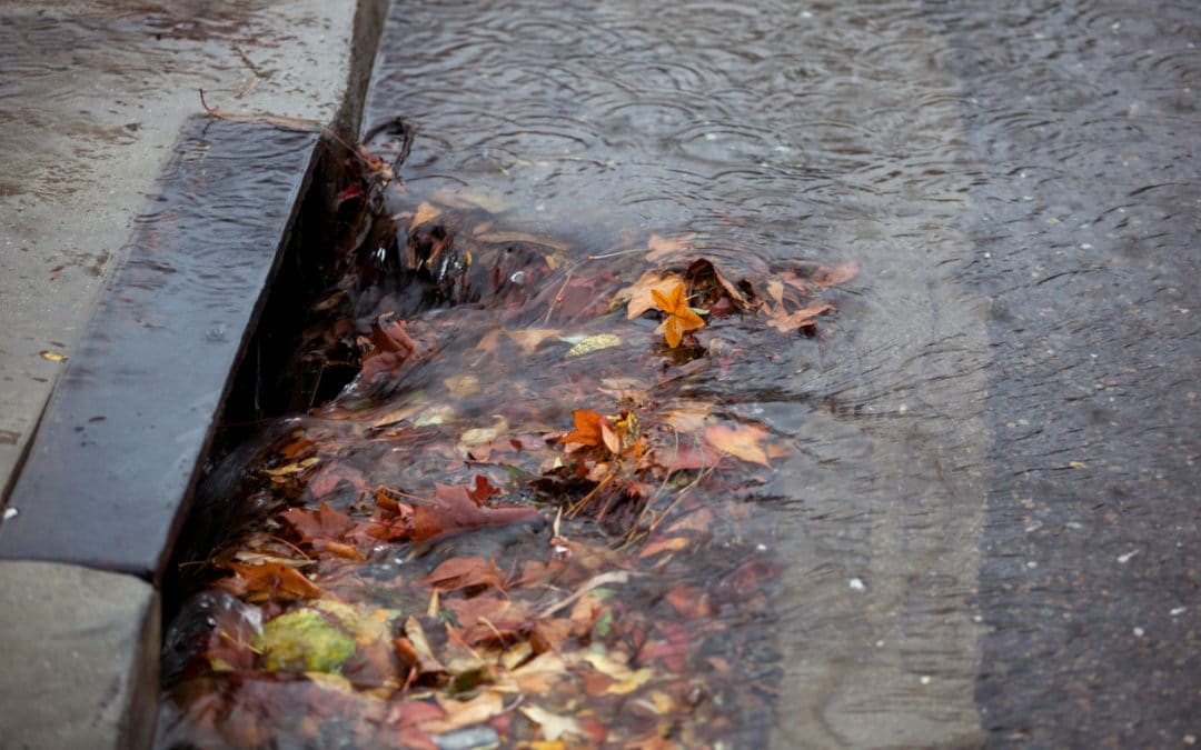 How a Clogged Area Drain Can Cause Severe Damage to Your Property