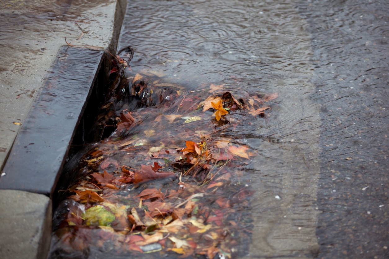 Drainage clogging online