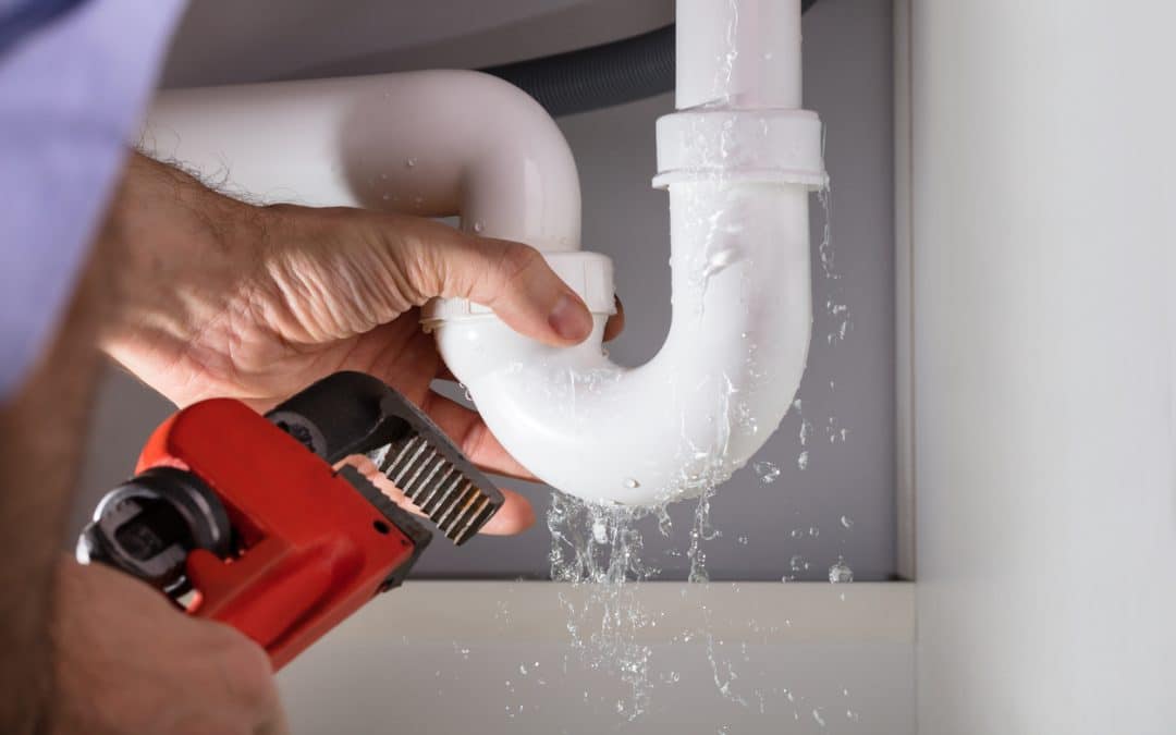 Avoid A Cracked or Damaged Drain Pipe By Using These Four Tips