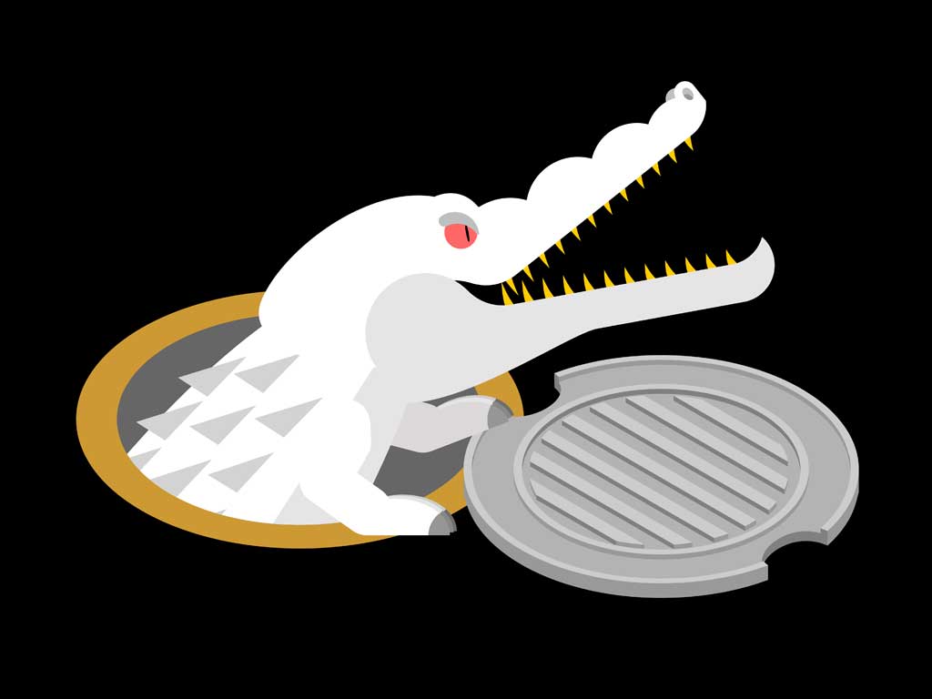 Drain Cleaning Myths Alligator Sewer