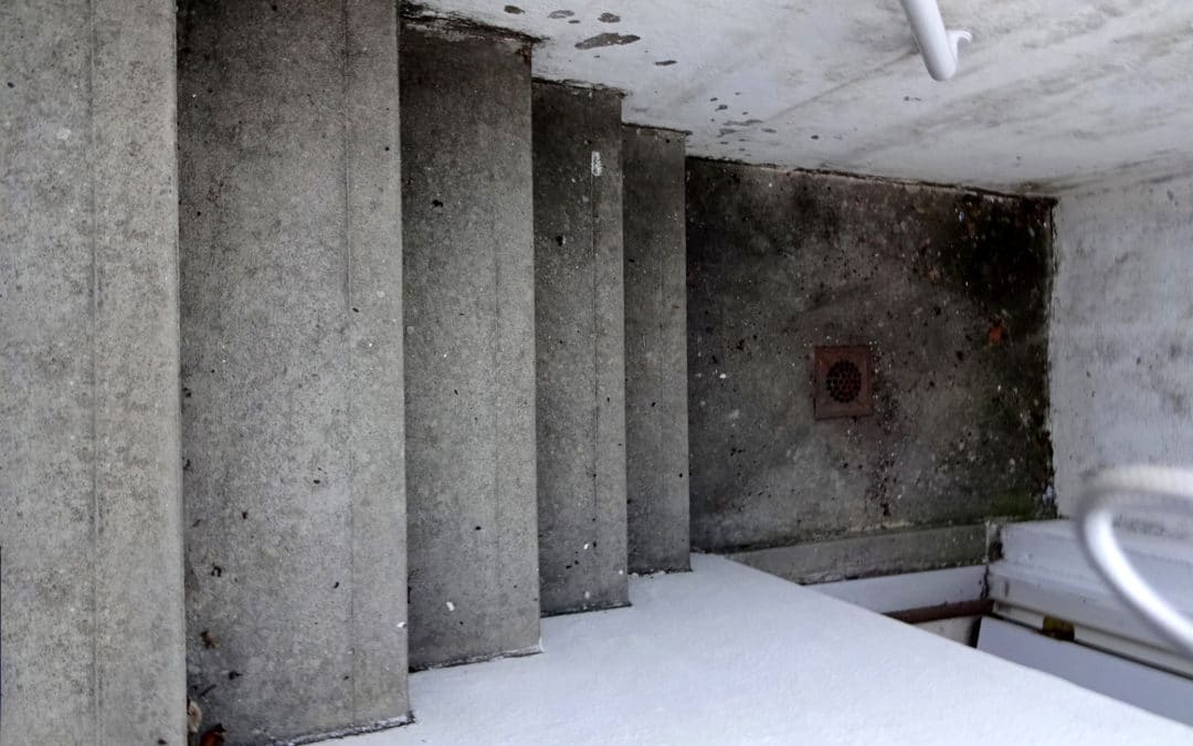 A Basement Drain Has Various Types And Purposes