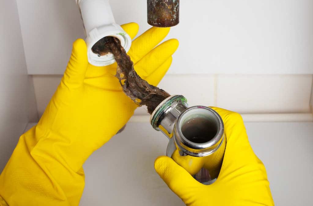 Learn Why I Should Find Professional Drain Cleaners Near Me