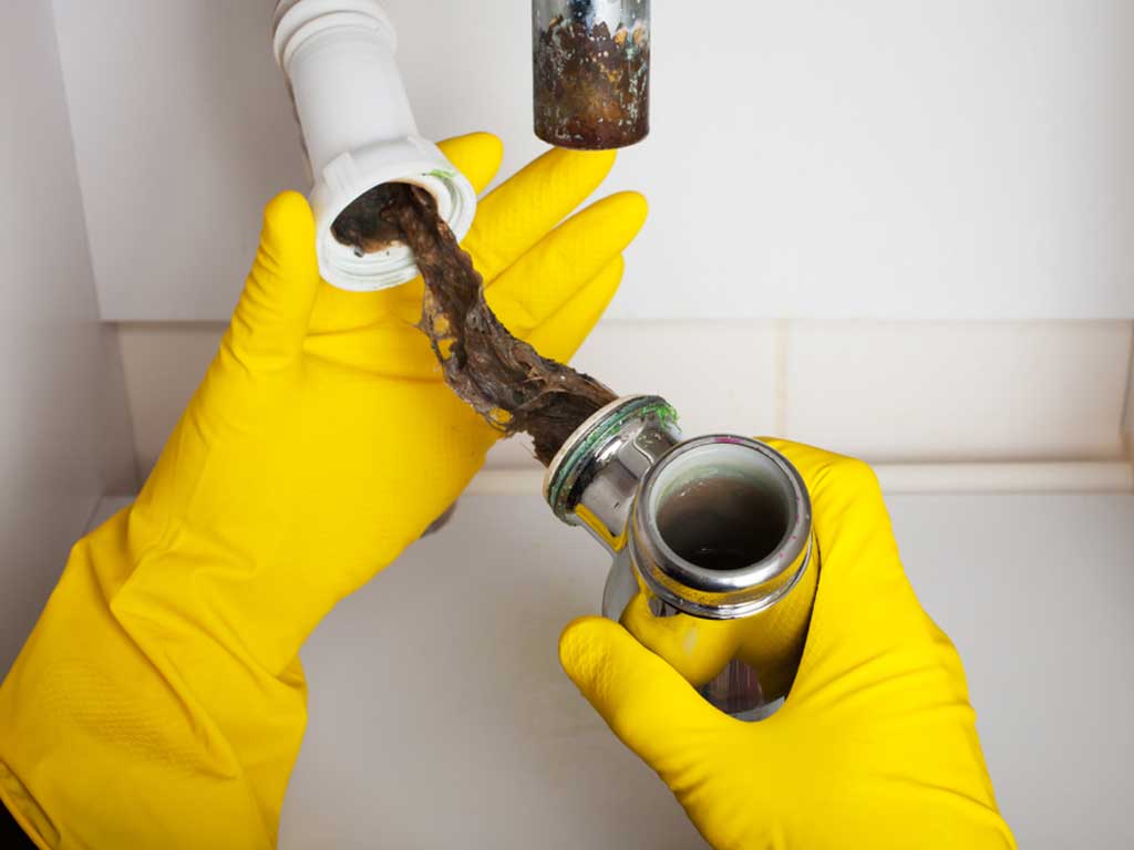 Why I Should Find Professional Drain Cleaners Near Me