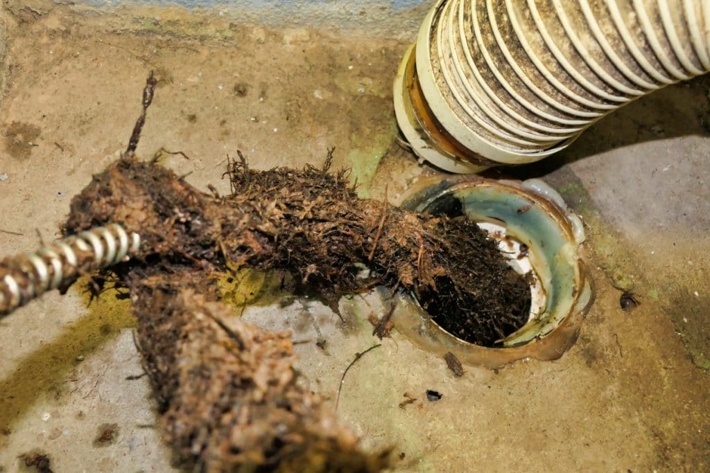 Plumbers using special tools to remove tree roots from drainage pipe - preventing bigger sewer rooter problems.