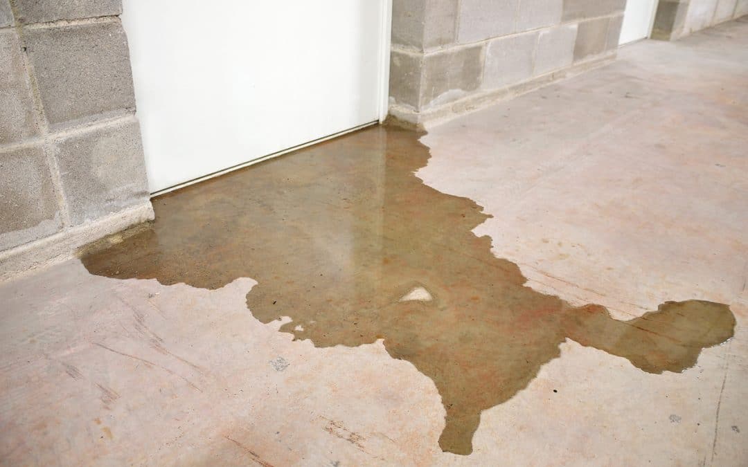 Basement Drain Backing Up? Learn the Causes, Prevention, and Cures