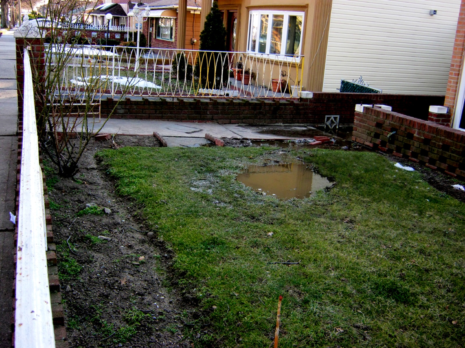 Yard Drainage: Common Problems, Solutions, and Advice