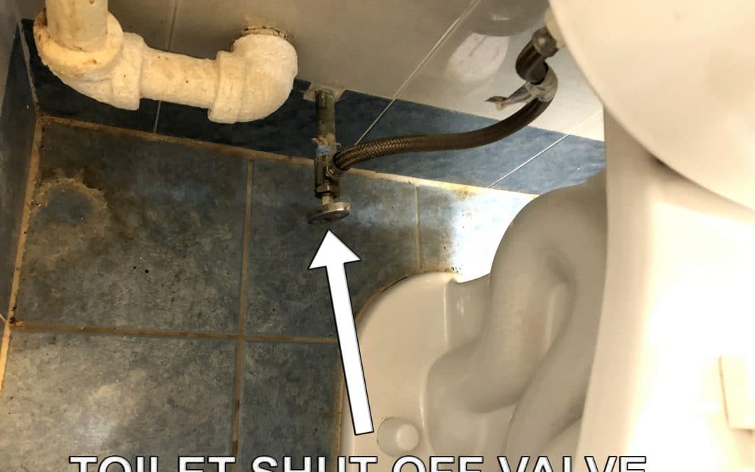 Overflowing Toilet: How to Quickly Prevent One From Creating Damage