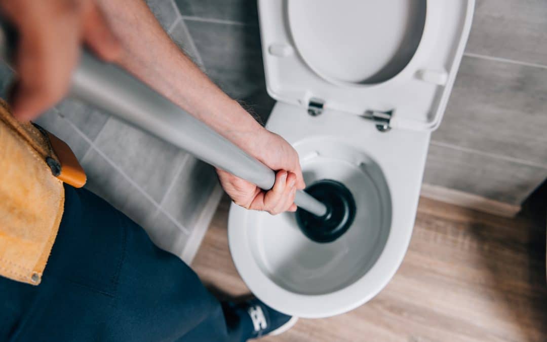 Learn the Important Differences Between Toilet and Sink Plungers