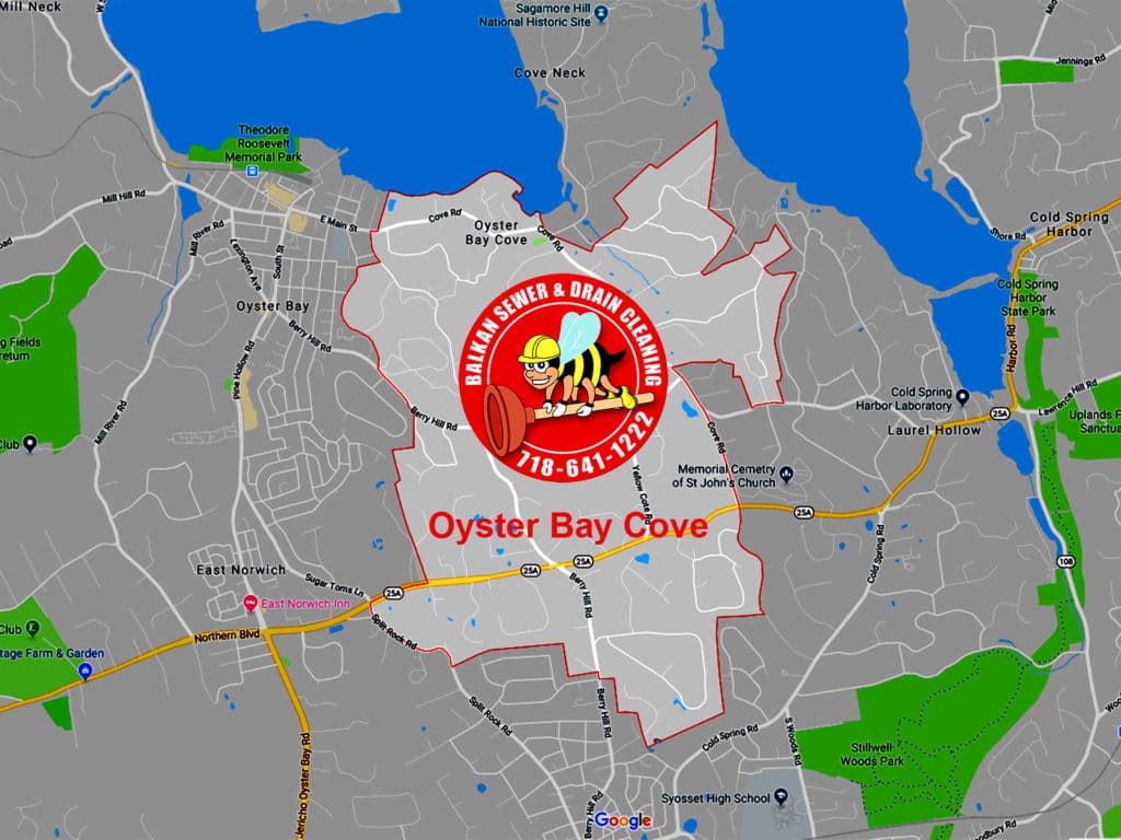 drain cleaning Oyster Bay Cove