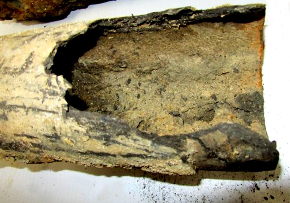 Bronx Drain Cleaning Is Required Now More Than Ever Before